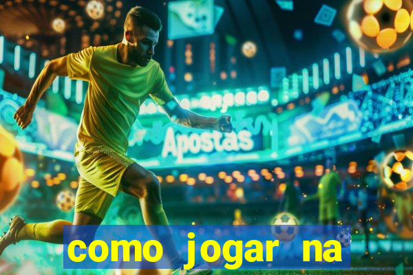 como jogar na lotinha do jogo do bicho